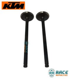 Válvula De Escape Duke 250 / Adventure 250 / Husqvarna 250 Original KTM