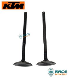 Válvulas de Admisión Duke 250 / Adventure 250/390 / Husqvarna 250 Original KTM