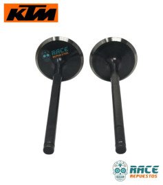 Válvulas de Admisión Duke 250 / Adventure 250/390 / Husqvarna 250 Original KTM