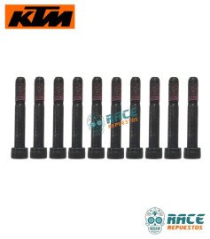 Tornillo Duke Original KTM 