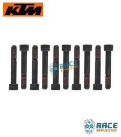 Tornillo Duke Original KTM 