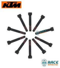 Tornillo Duke Original KTM 