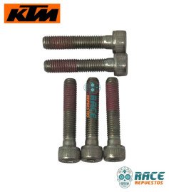 TORNILLO M8 PRECINTADO