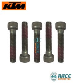 TORNILLO M8 PRECINTADO