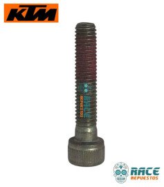 TORNILLO M8 PRECINTADO