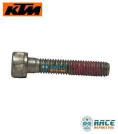 TORNILLO M8 PRECINTADO