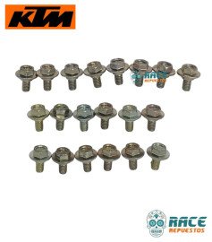 SPECIAL SCREW FLANGED