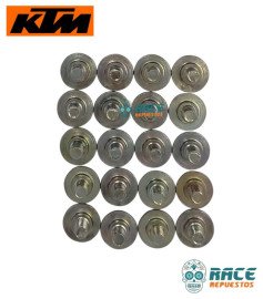 SPECIAL SCREW FLANGED