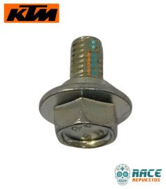 SPECIAL SCREW FLANGED