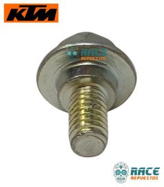 SPECIAL SCREW FLANGED