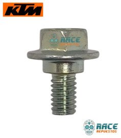 SPECIAL SCREW FLANGED