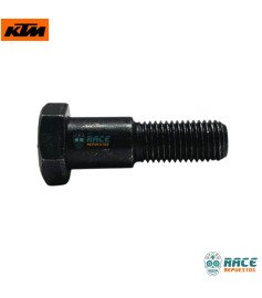 Tornillo Gato Lateral Duke / RC / Adventure Original KTM 