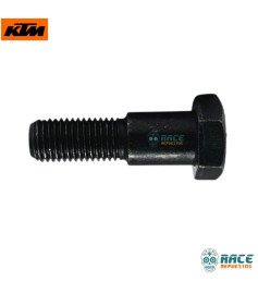 Tornillo Gato Lateral Duke / RC / Adventure Original KTM 