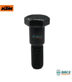 Tornillo Gato Lateral Duke / RC / Adventure Original KTM 