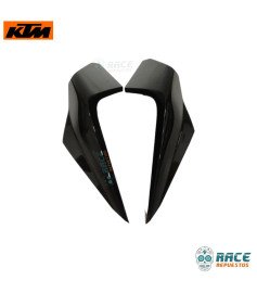 Tapa Farola Izquierdo Derecho