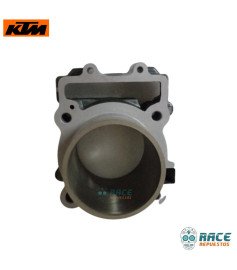 Cilindro Duke 390 / RC 390 / Adventure 390 Original KTM 