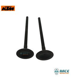 Válvula De Escape Duke 250 / Adventure 250 / Husqvarna 250 Original KTM