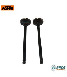Válvula De Escape Duke 250 / Adventure 250 / Husqvarna 250 Original KTM