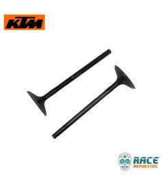 Válvulas de Admisión Duke 250 / Adventure 250/390 / Husqvarna 250 Original KTM