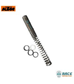 Resorte principal y arandela