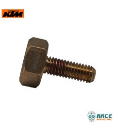Tornillo Imán Gato Lateral Svartpilen 200 / RC 200 Original KTM 
