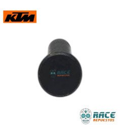 Pin Pivote Del Reposapiés	