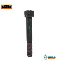 Tornillo Duke Original KTM 