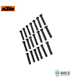 Pin De Posapiés Duke 390 GEN 3 / Husqvarna 250/401 Original KTM 