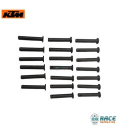 Pin De Posapiés Duke 390 GEN 3 / Husqvarna 250/401 Original KTM 