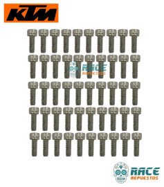  TORNILLO DE CABEZA HUECA