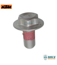 Tornillo Cabeza Espiga