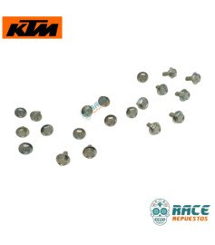 SPECIAL SCREW FLANGED