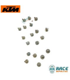 SPECIAL SCREW FLANGED