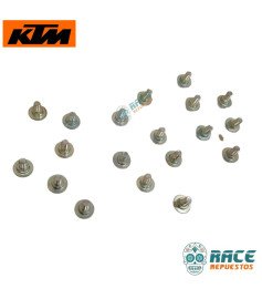 SPECIAL SCREW FLANGED